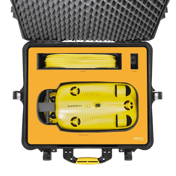 HPRC2710 for Chasing Innovation Gladius Mini rev. 02